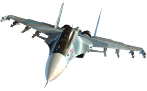 Su-30 Strike Flanker.png