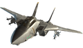 F-14 Tomcat